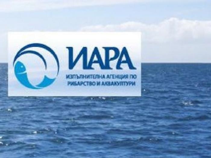Хванати са лица