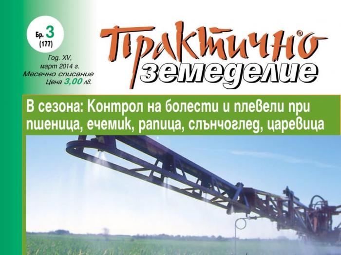 Склеротийното (бяло) гниене Склеротийното (бяло) гниене