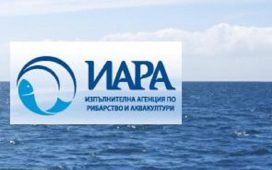Инспектори от Изпълнителната агенция по рибарство и аквакултури в Кърджали  заловиха бракониери