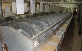 Ще бъдат подадени сигнали в прокуратурата за тези схеми