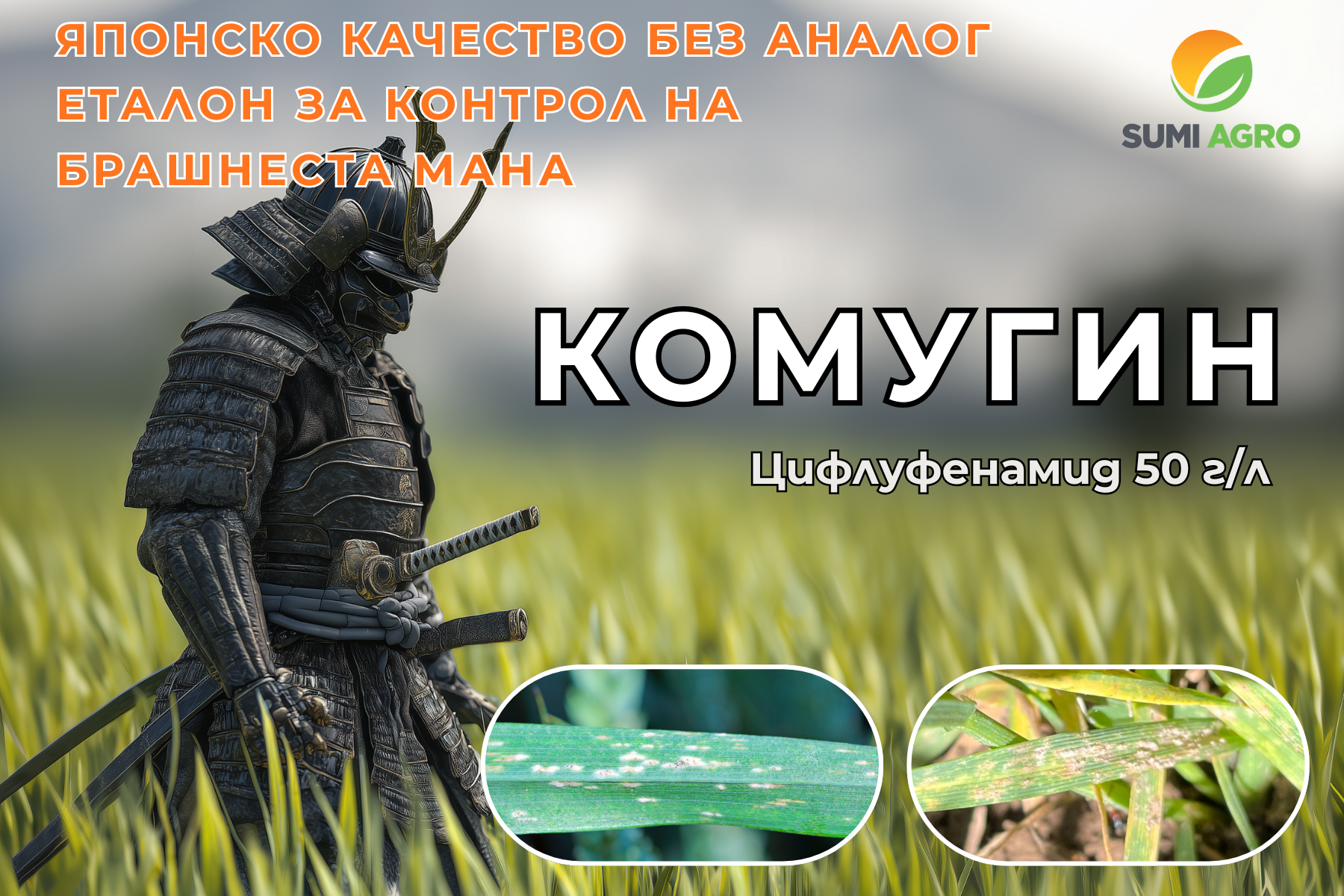 Кумигин - брашнеста мана пшеница