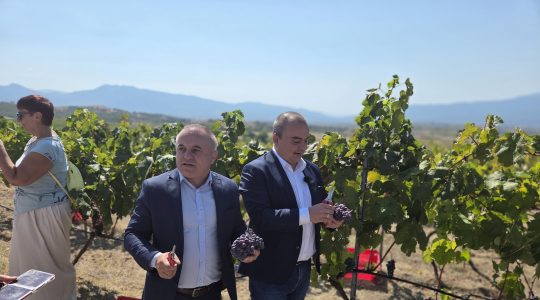 Абровски БАБХ, контрол слънчоглед