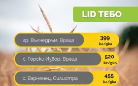Хибриди рапица LIdea