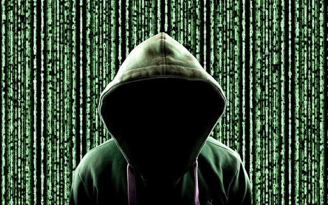 Хакер обяви за продан данни от СЕУ на ДФЗ, снимка: Pixabaz.com