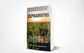 Колко струват плевелите на земеделските производители