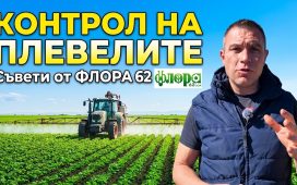 Контрол на плевелите през есента
