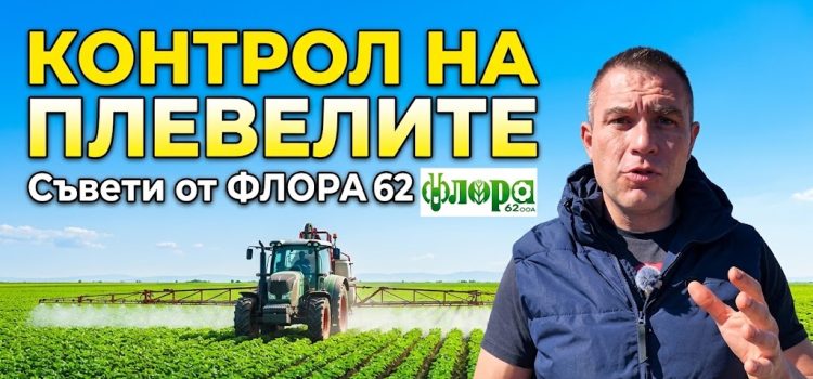 Контрол на плевелите през есента