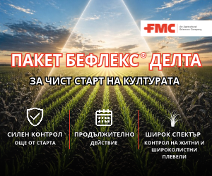 Бефлекс® Делта