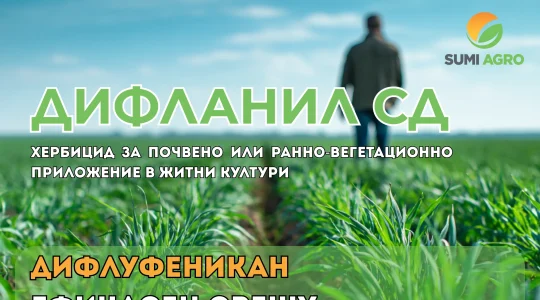 Хербицид Дифландил
