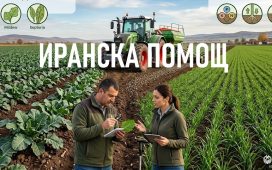 Иранска помощ Услвия