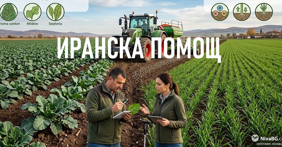 Иранска помощ Услвия