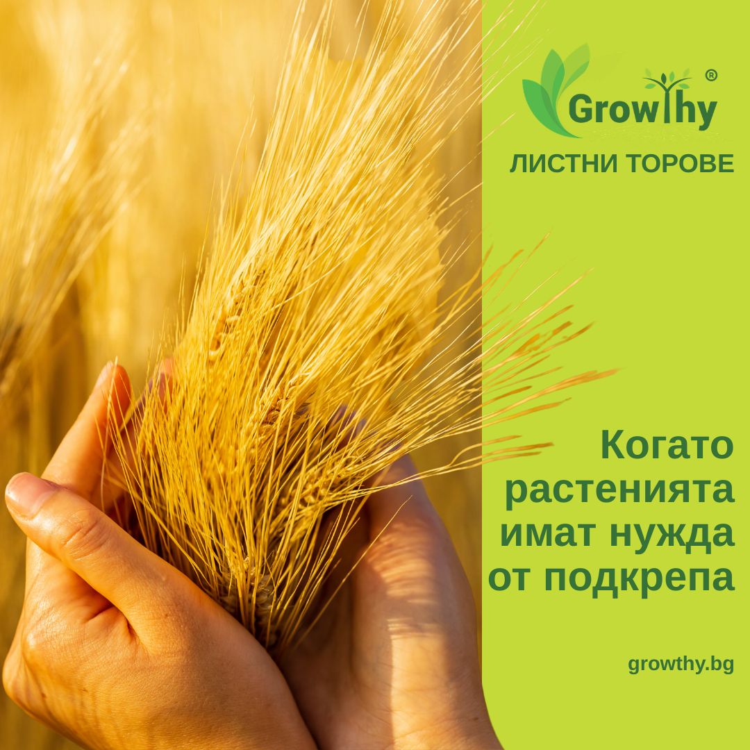 Течен тор рапица, пшеница - Growthy