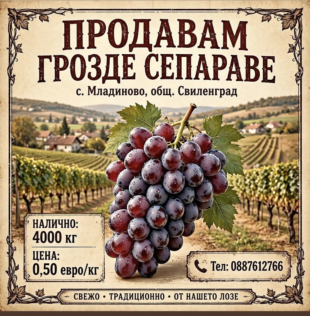 Продавам грозде